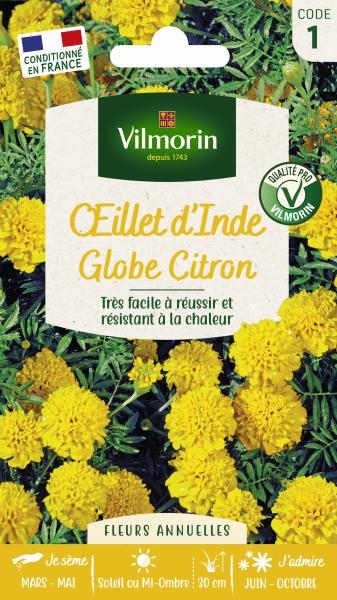 Fleurs - Œillet d'Inde Globe Citron - PACKAGING_RECTO